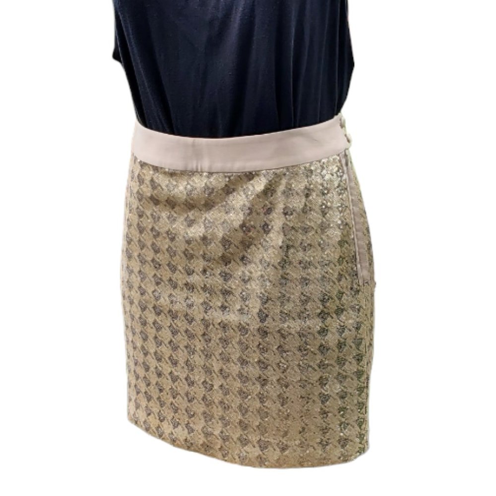 The Limited Sequin Skirt - NWT - Picture 4 of 15